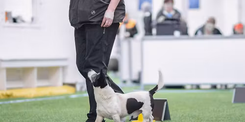 Rally-tokokisat 11.4.2026