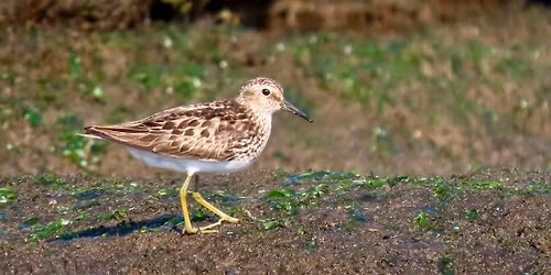 First Day of Summer Walk