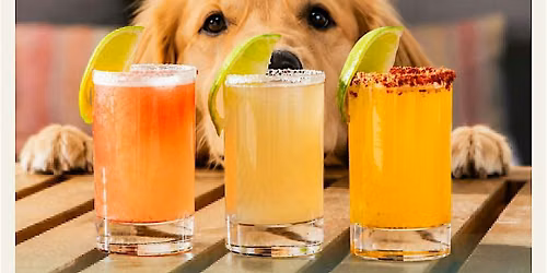 International Dog Day Yappy Hour