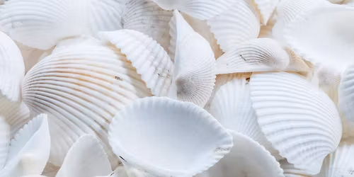 Patient Appreciation Day! 