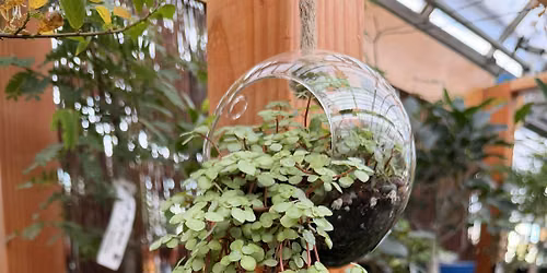 DIY Hanging Terrarium