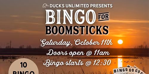 Ready, Aim, Bingo!