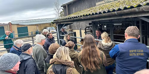 Development Day 2025