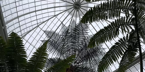 Dementia Friendly Garden Social - May