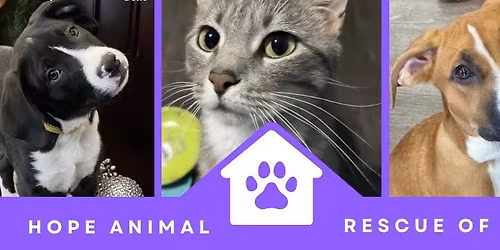 Pup Up Meet & Greet @ Pet Supplies Plus on Merle Hay Rd 