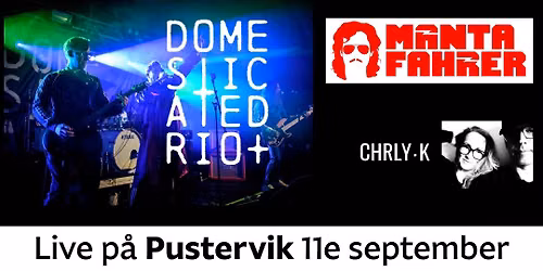 Domesticated Riot + Mantafahrer + CHRLY-K p\u00e5 Pustervik