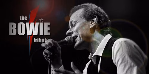 The BOWIE Tribute - Palladium Malm\u00f6