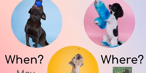 Color Pop Minis!