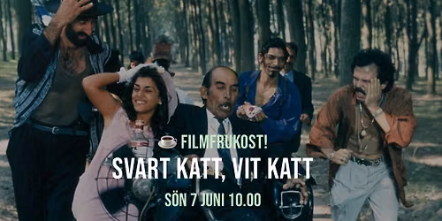 Extrainsatt filmfrukost p\u00e5 Aspen! \u2615 Svart katt, vit katt