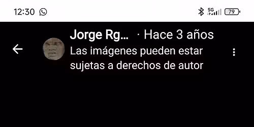 FIESTA DE LA PRIMAVERA \ud83c\udf3c