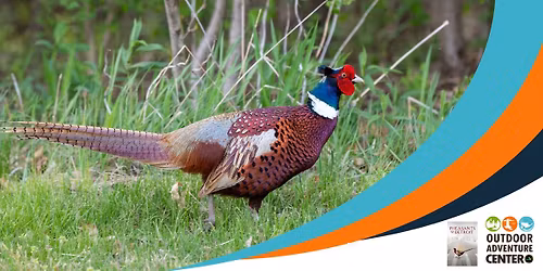 \u201cPheasants of Detroit\u201d film showing and walk