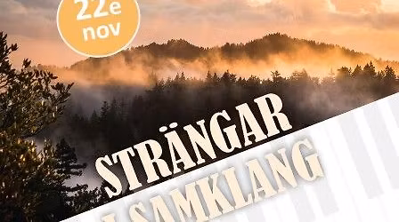 Str\u00e4ngar i Samklang