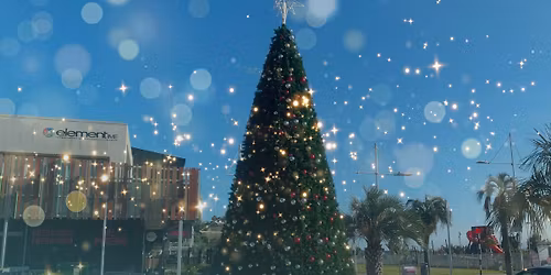 Turning on the Christmas Lights at Masonic Park