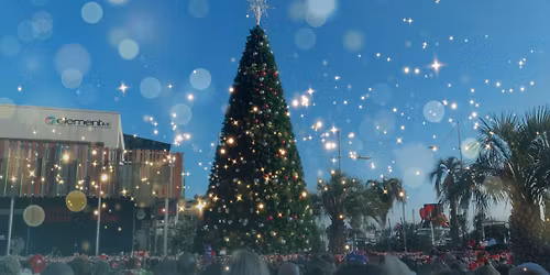 Turning on the Christmas Lights at Masonic Park