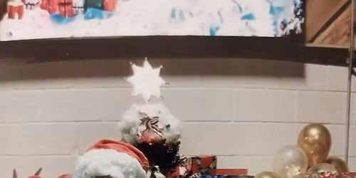 24th Annual Longview Special Needs Christmas Festival