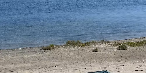 Mission Beach\/ Pacific Beach