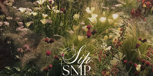 Sip & Snip Workshop - Fall Florals