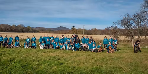 Canicross For Beginners - come and have a go!