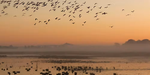 Wilder Together 2026