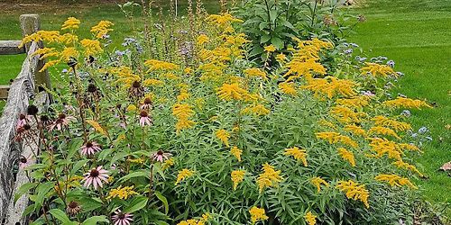 Rain Garden and Rain Barrel Workshop