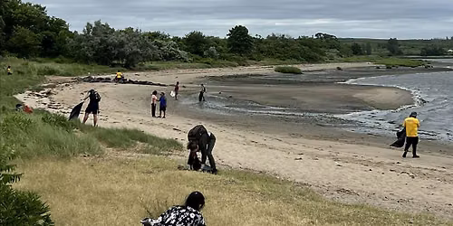 November CleanSweep: Canarsie Pier Shoreline Cleanup