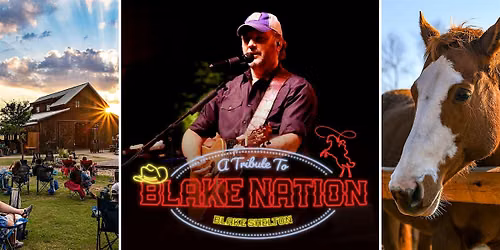 Blake Shelton covered by Blake Nation | Texas Wine | Anna, TX