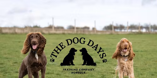Brand New Puppy Life Skills Class