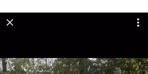 Allen Park Holiday Market