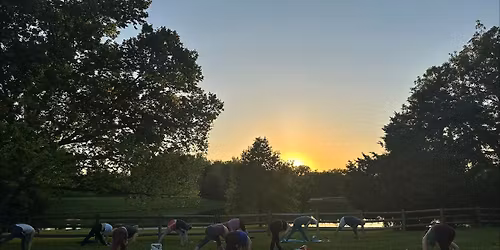 FREE Yoga in the Park