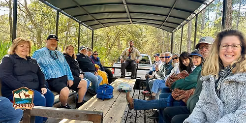 Forestry and Conservation Eco-buggy Tour: Morning