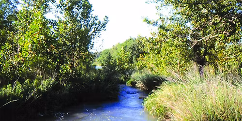 Urban Riparian and Stream Restoration Training \u2013 Plum Creek Watershed