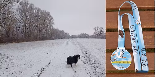 Szilveszteri szalad\u00e1s a G\u00f3ly\u00e1s k\u00f6r\u00f6n