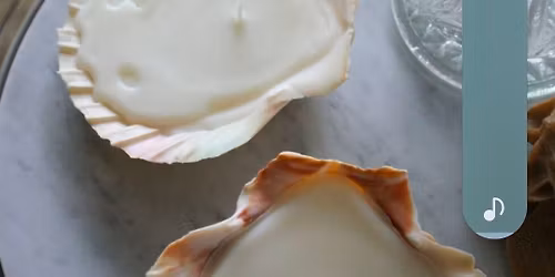 Shell Candles