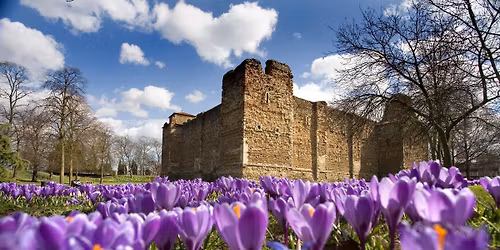 Medieval & Tudor Tour