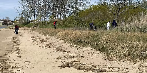 Hamilton Beach Park Shoreline Cleanup