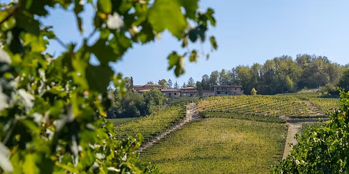 Free Wine Tasting--Giacomo Fenocchio