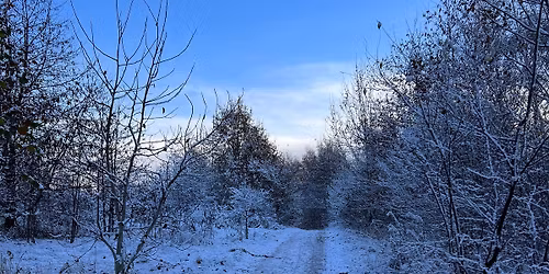 Julevandring med Albergue Ballerup