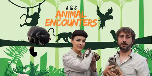 Summer of Fun - Animal Encounters