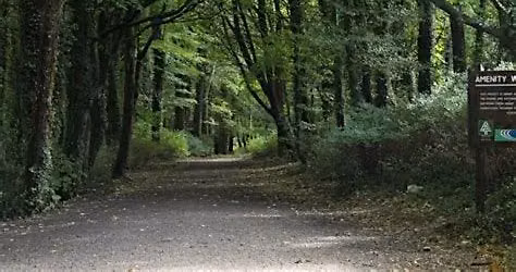 Massy Woods Hike - 23rd of September