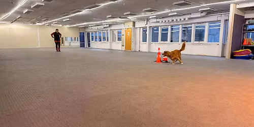 FULLTEGNET! Ettermiddagsstevne LP for dommer Anne Lise Ytreberg