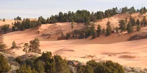 Coral Pink Sand Dunes (South Area)