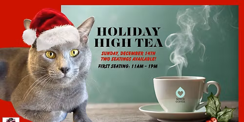 Holiday High Tea With The Kitties!