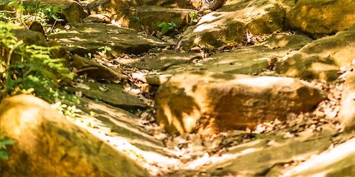 Brown County Enduro Race