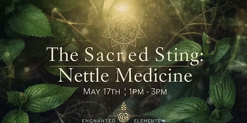 The Sacred Sting: Nettle Medicine