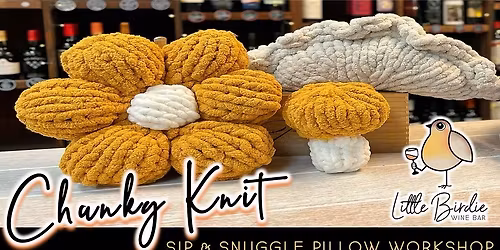 Chunky Knit Pillows | Sip & Snuggle Workshop