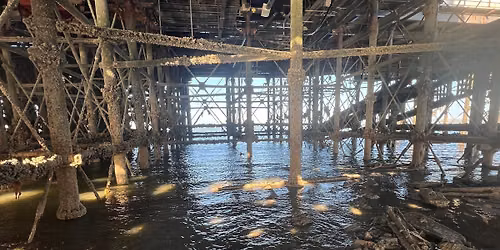 Evening guided walk under Southend Pier.