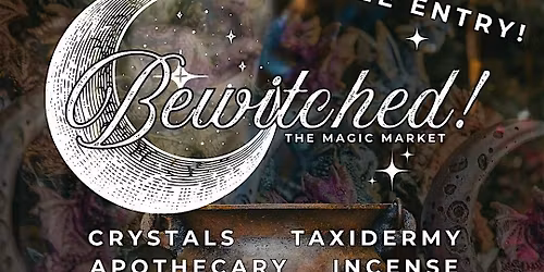 Bewitched: The Magic Market
