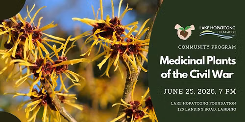 Medicinal Plants of the Civil War