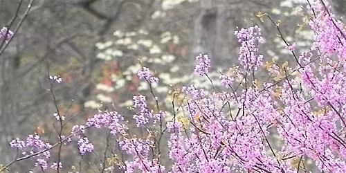 Winter Lecture Series - Mapping a Conservation Vision for Northern Virginia