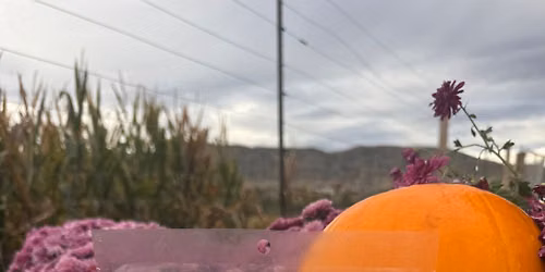 Pumpkin Festival Chatfield Farms